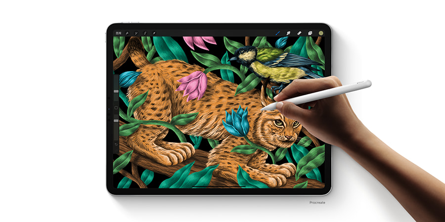 第一款OLED iPad可能在LG的帮助下发布 但最早也得2024年