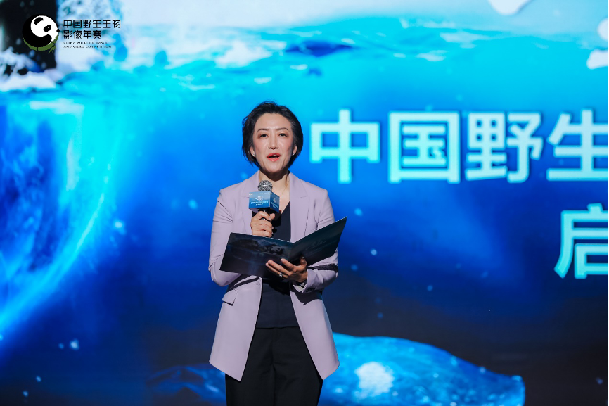 高通公司全球副总裁侯明娟