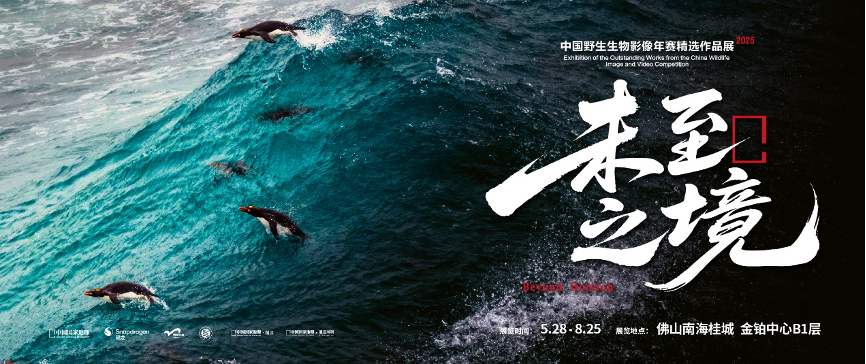 年赛粤港澳大湾区特别展览